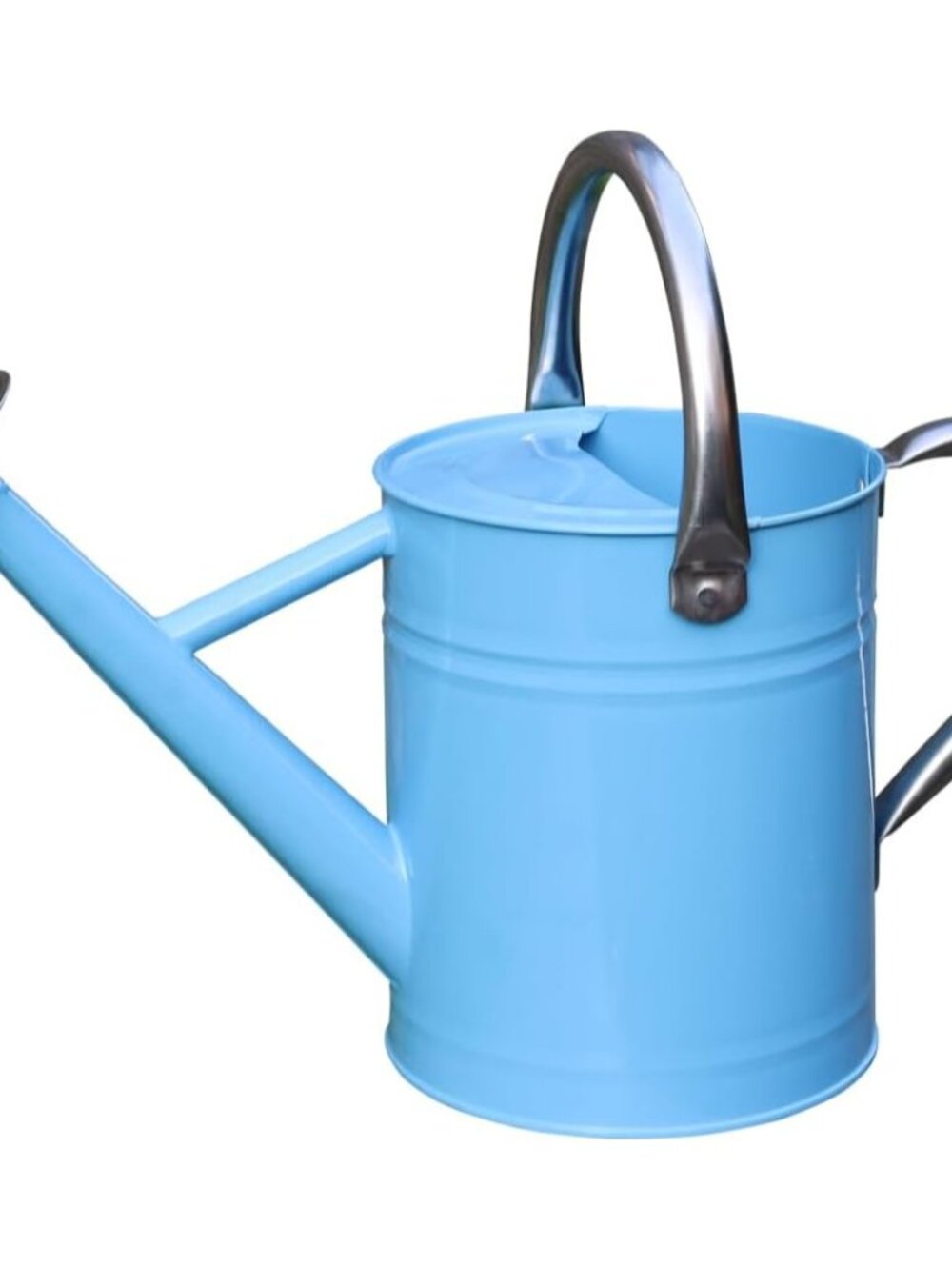 Metal Watering Can, 1 Gallon for Outdoor Garden Plants, Blue